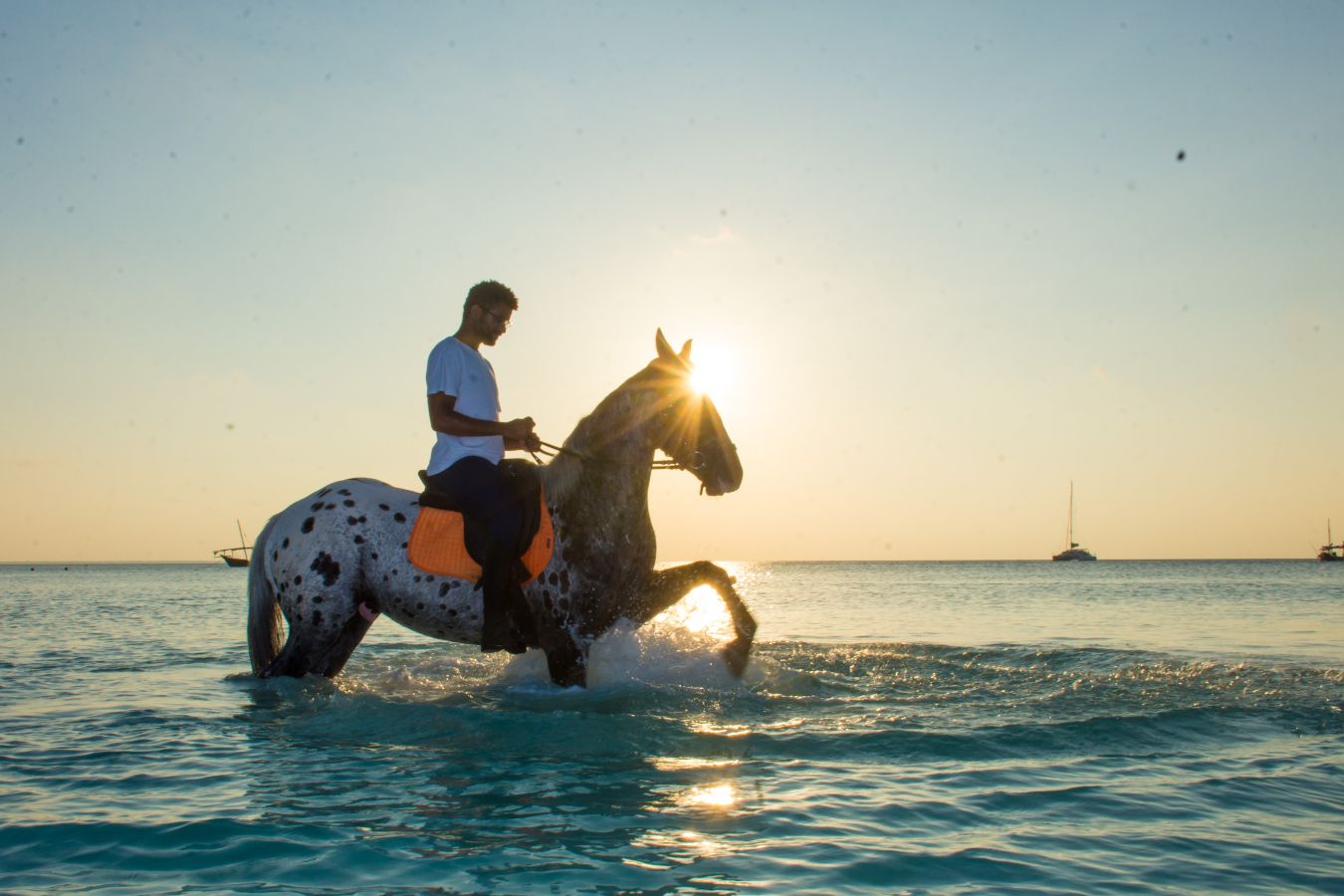 The art of Horseback Riding Zanzibar Horse Club